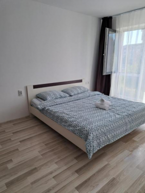 New Apartament Baia Mare 7